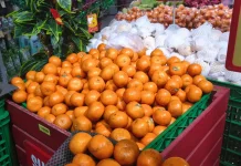 Alasan Jeruk Jadi Simbol Keberuntungan Imlek